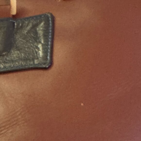 ZAAF Collection Globulus Convertible Backpack/Crossbody Bag - Picture 9 of 15